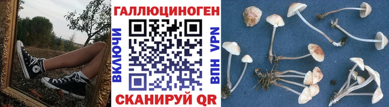 продажа наркотиков  ОМГ ОМГ   Псилоцибиновые грибы GOLDEN TEACHER  Шацк 