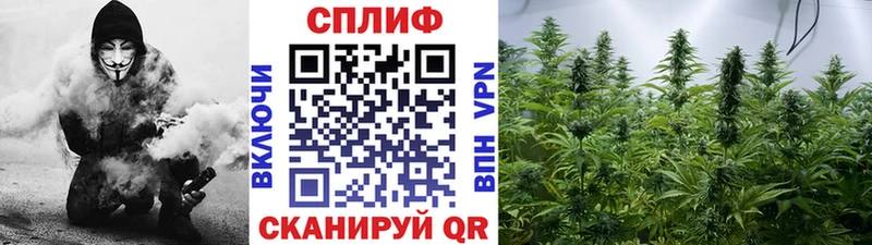 купить наркотики цена  Шацк  Каннабис планчик 